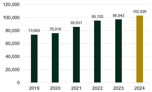 Net assets 2019 - 2024